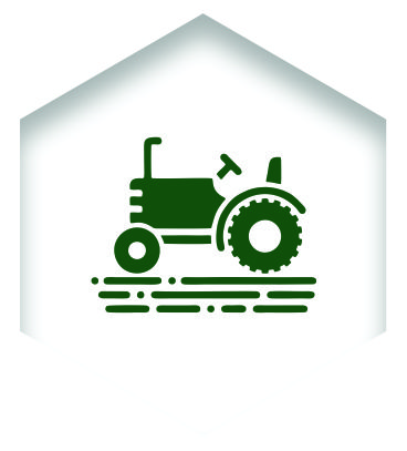 QSM agricola